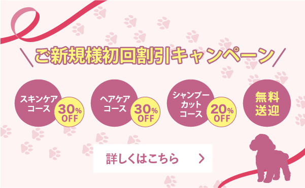 オープニングキャンペーンのバナー