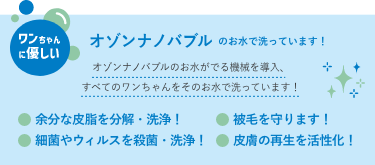 ワンちゃんに優しいオゾンナノバブルのバナー